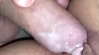 Creamy Puss